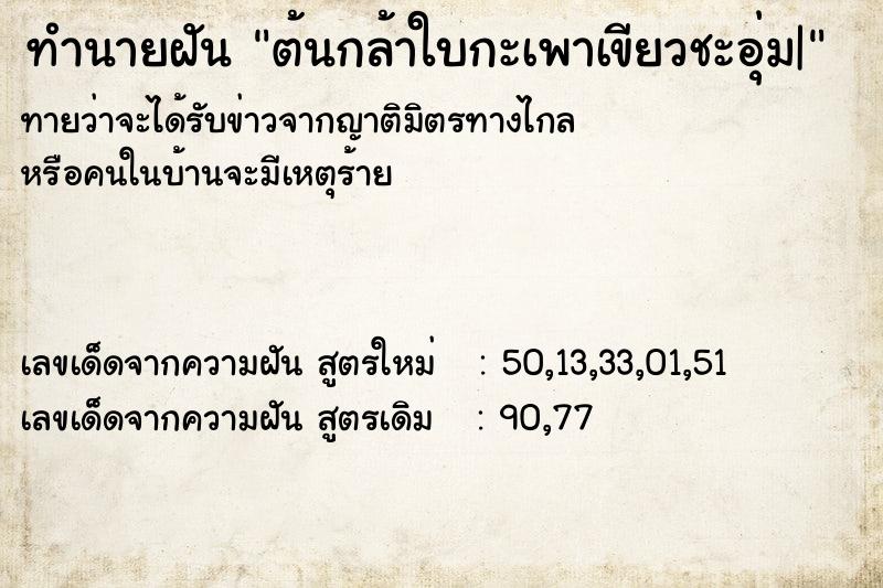 ทำนายฝันต้นกล้าใบกะเพาเขียวชะอุ่ม| ทำนายฝันทำนายฝันต้นกล้าใบกะเพาเขียวชะอุ่ม|
